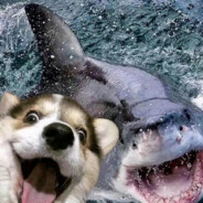 她说不能耽误我