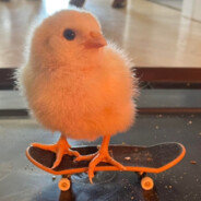 mMmMmMMmmMMmMMMmMmmMMmmMMmmMmmMm