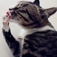 你骚起来真好看