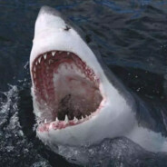 生异形啊你们哥俩