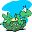 Toppled_Turtle