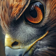 Eagle_ avatarı