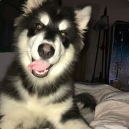Big Avatar