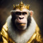 KingofMonkeys thy 3rd