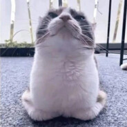 菠萝螃蟹炒粉条