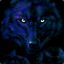 blackWolf