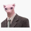 Bingus