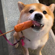 你知道的，我是厨神