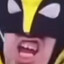 Wheelverine