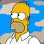 Homer Jay Simpson