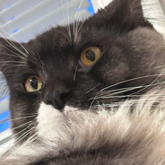 Martiinoo - steam id 76561198244961610