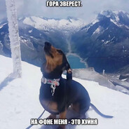 Гололобов Г.С