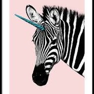 Zayn das zerstörende Zebra