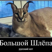 Шлёпа