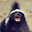 The Honey Badger