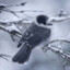 _janek_kozak123_