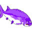 Grimace Fish