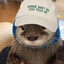 otter enjoyer