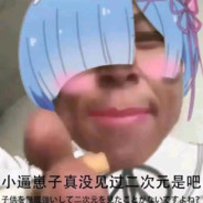 二刺猿能不能死绝啊