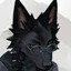 raccoonmaster64