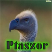 Ptaszor <3
