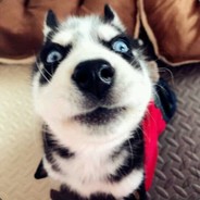 Big Avatar