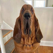 J3fferson - steam id 76561198427568172