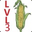 Level 3 Corn