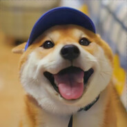 翻斗花园牛爷爷