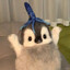 sir debonaire