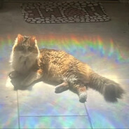 Мейса давай давай