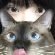 我是黄毛你别闹