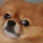 恩佐Fg