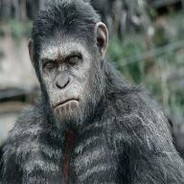 |︻芫═─── • ♕ Rip AWP! ♕