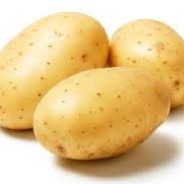 spud2310
