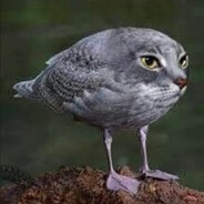 BIH