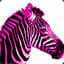 PinkZebra