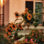 evanson - steam id 76561199677072964