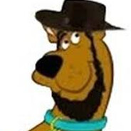 Mr.FlyTheGringo