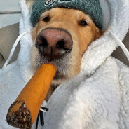 ♿ˢᵒʷᵏ⁴ - steam id 76561199762358723