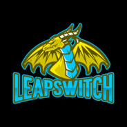 Leapswitch