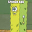 spunchbub