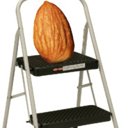 Nutty Stepstool