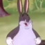 BigChungus