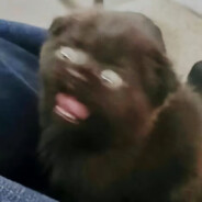 玩家头像