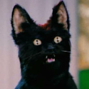 Кошка картошка