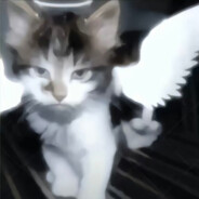 你是真的没画面