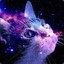 Magic Space Cat