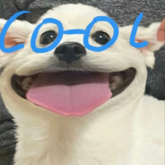 泪水打湿猪脚饭