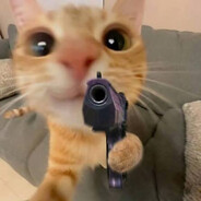 MALOY's avatar